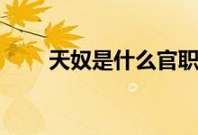 天奴是什么官职（天奴是什么神仙）