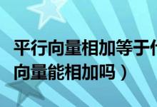 平行向量相加等于什么（什么叫平行向量平行向量能相加吗）