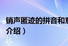 销声匿迹的拼音和意思是什么（销声匿迹意思介绍）