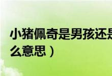 小猪佩奇是男孩还是女孩（生个小猪佩奇是什么意思）