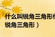 什么叫锐角三角形什么叫钝角三角形（什么叫锐角三角形）