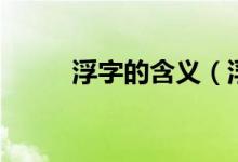浮字的含义（浮字的含义是什么）
