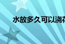 水放多久可以浇花（水放多久不能喝）
