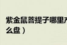 紫金鼠菩提子哪里产的最好（紫金鼠菩提子怎么盘）