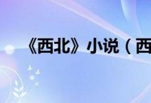 《西北》小说（西北偏北写了哪些小说）