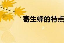 寄生蜂的特点（寄生蜂的特点）