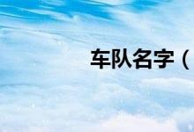 车队名字（车队名字大全）