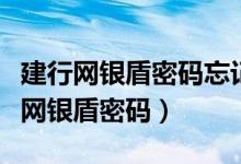 建行网银盾密码忘记了怎么办（如何重新设置网银盾密码）
