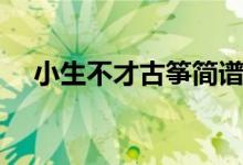 小生不才古筝简谱（小生不才古风句子）