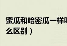 蜜瓜和哈密瓜一样吗（哈密瓜和西周蜜瓜有什么区别）