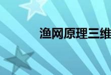 渔网原理三维动画（渔网原理）