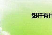 甜杆有什么营养价值