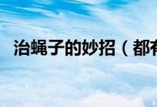 治蝇子的妙招（都有什么办法可以驱蝇子）