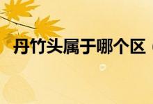 丹竹头属于哪个区（丹竹头属于哪个街道）