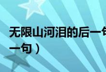 无限山河泪的后一句是什么（无限山河泪的下一句）