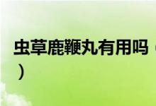 虫草鹿鞭丸有用吗（虫草鹿鞭丸的作用是什么）