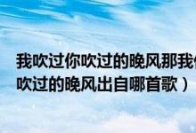 我吹过你吹过的晚风那我们算不算相拥是什么歌（我吹过你吹过的晚风出自哪首歌）