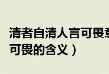 清者自清人言可畏意思是什么（清者自清人言可畏的含义）