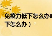 免疫力低下怎么办吃什么药能治愈（免疫力低下怎么办）