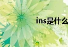 ins是什么意思网络热词