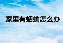 家里有蛞蝓怎么办（家里有蛞蝓怎么清除）