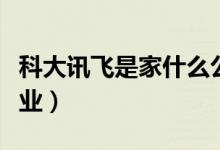 科大讯飞是家什么公司（科大讯飞是家什么企业）