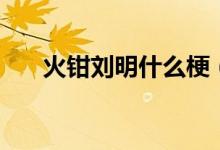 火钳刘明什么梗（火钳刘明什么意思）