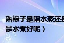 熟粽子是隔水蒸还是水煮（熟粽子是隔水蒸还是水煮好呢）
