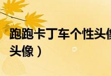 跑跑卡丁车个性头像（跑跑卡丁车手游怎么换头像）