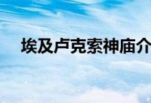 埃及卢克索神庙介绍（卢克索神庙讲解）