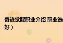 奇迹觉醒职业介绍 职业选择攻略（奇迹觉醒里哪些职业比较好）