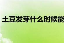 土豆发芽什么时候能种（土豆发芽什么样子）