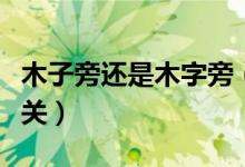 木子旁还是木字旁（木子旁字旁的字和什么有关）