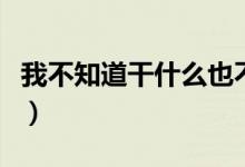 我不知道干什么也不重要歌词（傻子歌词简介）