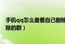 手机qq怎么查看自己删除的好友（手机QQ怎么查看自己删除的群）