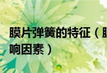 膜片弹簧的特征（膜片弹簧的弹性特性及其影响因素）