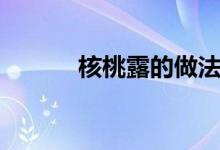 核桃露的做法（核桃露怎么做）