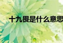 十九畏是什么意思（十九畏是什么意思）