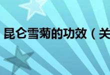 昆仑雪菊的功效（关于昆仑雪菊的好处介绍）