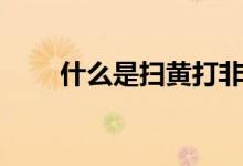 什么是扫黄打非（什么是扫黄打非）