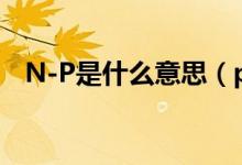 N-P是什么意思（p/n是指是什么意思啊）