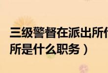 三级警督在派出所什么职位（二级警督在派出所是什么职务）