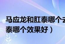 马应龙和肛泰哪个去肉球效果好（马应龙和肛泰哪个效果好）