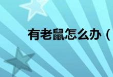 有老鼠怎么办（轻松解决鼠患烦恼）