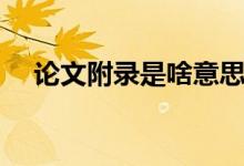 论文附录是啥意思（论文附录什么意思）