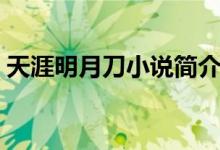 天涯明月刀小说简介（天涯明月刀小说介绍）