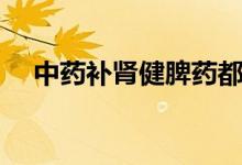 中药补肾健脾药都有哪些（赶紧来看看）