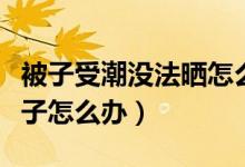 被子受潮没法晒怎么办（宿舍潮湿没办法晒被子怎么办）
