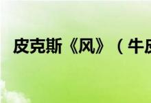 皮克斯《风》（牛皮克拉斯风是什么意思）