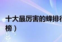 十大最厉害的蜂排行榜（最厉害的十大蜂排行榜）